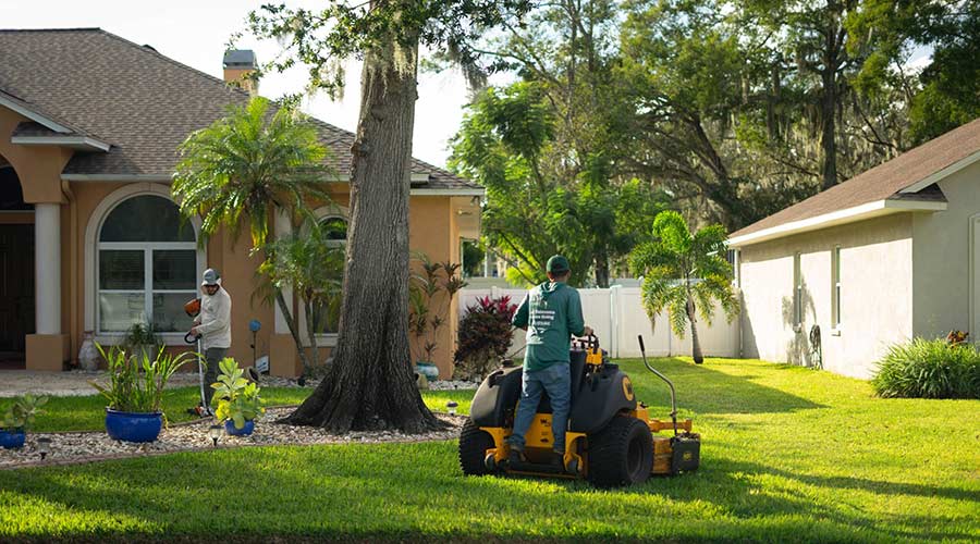 landscaping-florida